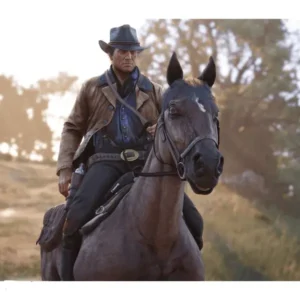 دیسک بازی Red Dead Redemption 2 نسخه PS4