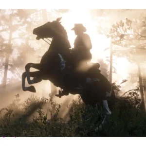 دیسک بازی Red Dead Redemption 2 نسخه PS4