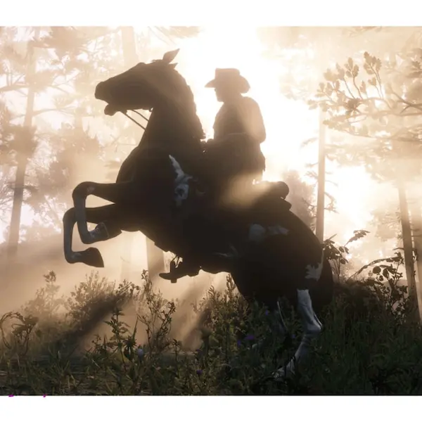 دیسک بازی Red Dead Redemption 2 نسخه PS4